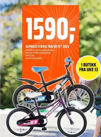Alprace sykkel 160/161 16" 2022