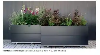 Plantekasse med hjul