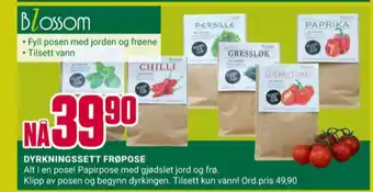 Europris Blossom frø tilbud