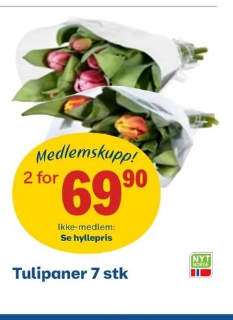 Coop Obs Tulipaner 7 stk tilbud