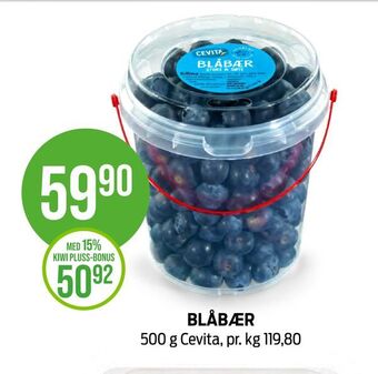 Kiwi Blåbær tilbud