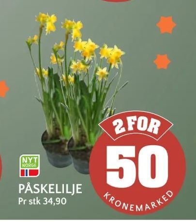 Coop Mega Påskelilje tilbud