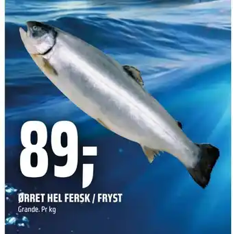 Coop Obs Ørret hel fersk / fryst tilbud