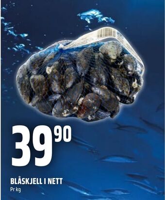 Coop Obs Blåskjell i nett tilbud
