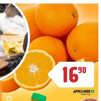 Appelsiner