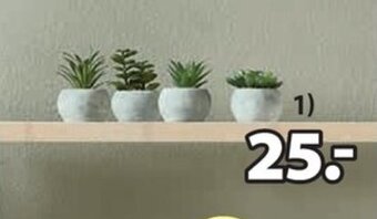 JYSK Bror Kunstig Plante tilbud