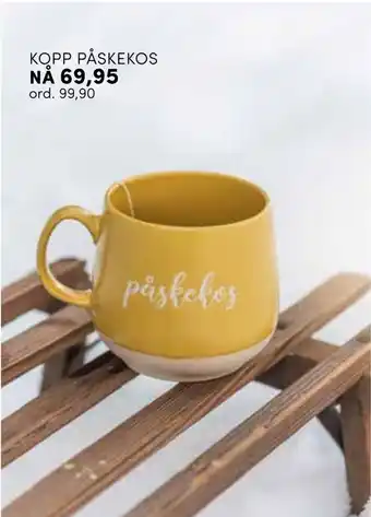 Nille Kopp påskekos tilbud