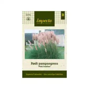 Plantasjen Rødt pampasgress 'pink feather' tilbud