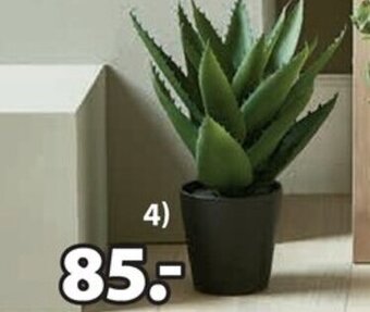 JYSK Steinar kunstig plante tilbud
