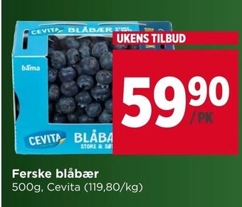 Meny Ferske blåbær tilbud
