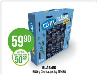 Kiwi Blåbær tilbud