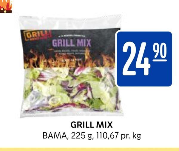 Rema 1000 Grill mix tilbud