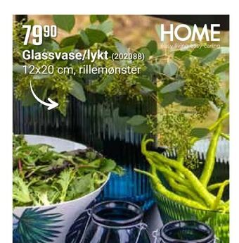 Europris Glassvase/lykt tilbud