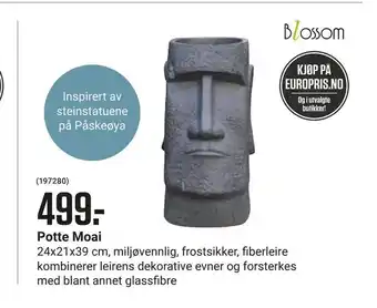 Europris Potte Moai tilbud