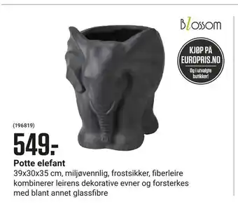 Europris Potte elefant tilbud