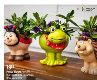 Europris Potte figurer tilbud