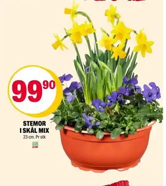 Coop Extra Stemor i skål mix tilbud