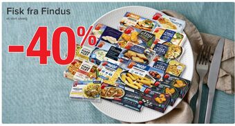 Spar Findus tilbud