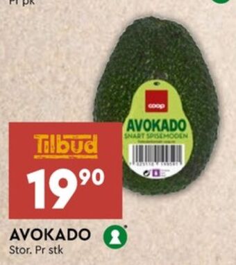Coop Mega Coop avokado tilbud