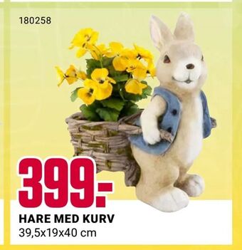 Europris Hare med kurv tilbud