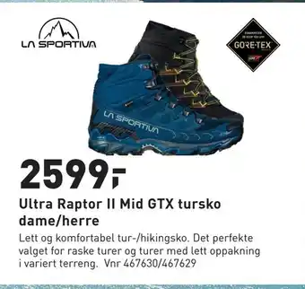 Intersport Ultra Raptor II Mid GTX tursko dame/herre tilbud