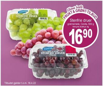 Joker Stenfrie druer tilbud