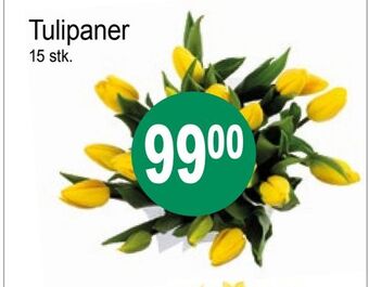 Joker Tulipaner tilbud