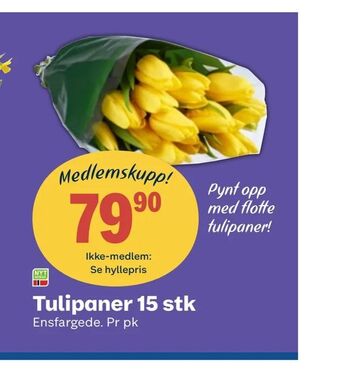 Coop Obs Tulipaner 15 stk tilbud