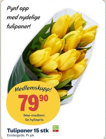 Matkroken Tulipaner 15 stk tilbud