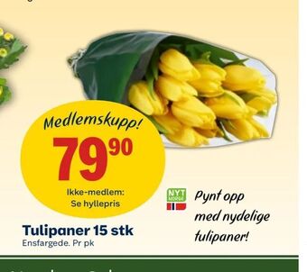 Coop Mega Tulipaner 15 stk tilbud