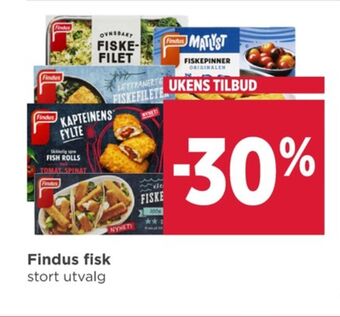 Meny Findus tilbud