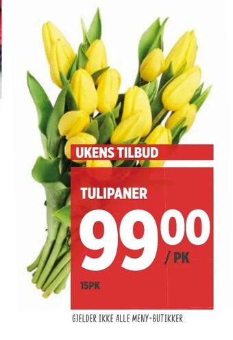 Meny Tulipaner tilbud