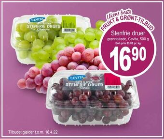 Joker Stenfrie druer tilbud