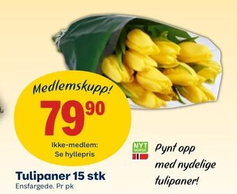 Coop Mega Tulipaner 15 stk tilbud