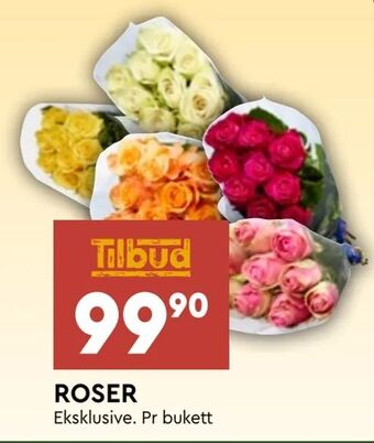 Coop Mega Roser tilbud