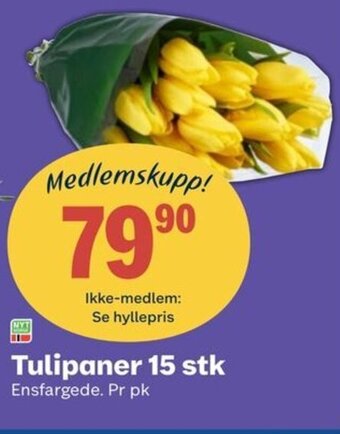 Coop Obs Tulipaner 15 stk tilbud