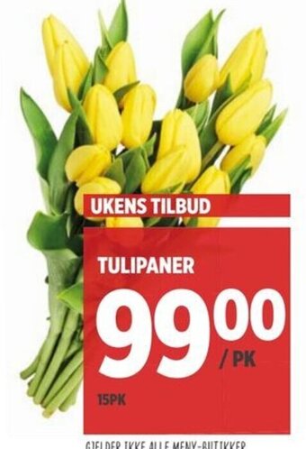 Meny Tulipaner tilbud