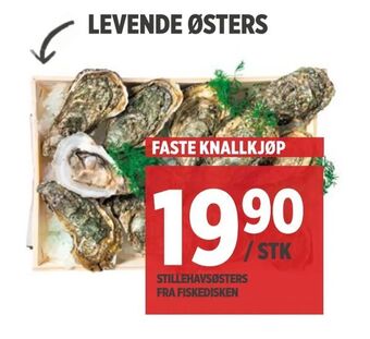 Meny Levende østers tilbud