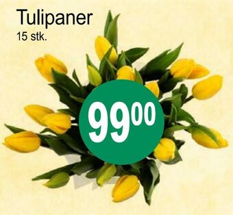 Joker Tulipaner tilbud