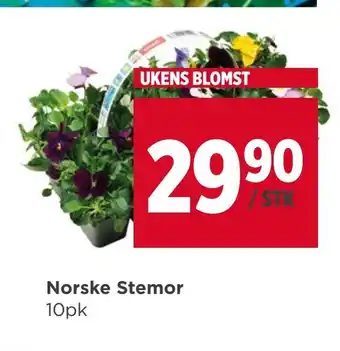 Meny Norske Stemor tilbud