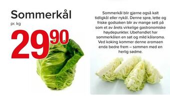 Spar Sommerkål tilbud