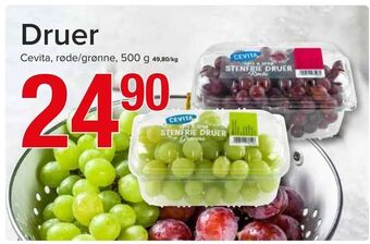 Spar Druer tilbud
