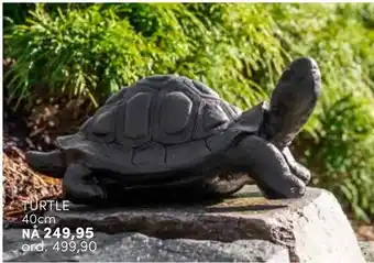 Turtle