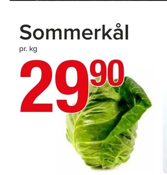 Spar Sommerkål tilbud