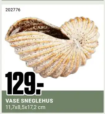 Europris Vase sneglehus tilbud