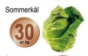 Joker Sommerkål tilbud