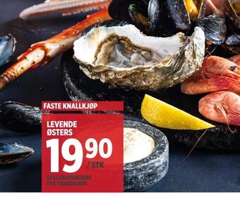 Meny Levende østers tilbud