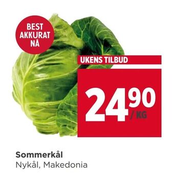 Meny Sommerkål tilbud