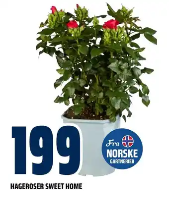 Obs Bygg Hageroser sweet home tilbud