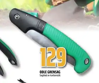 Odle grensag